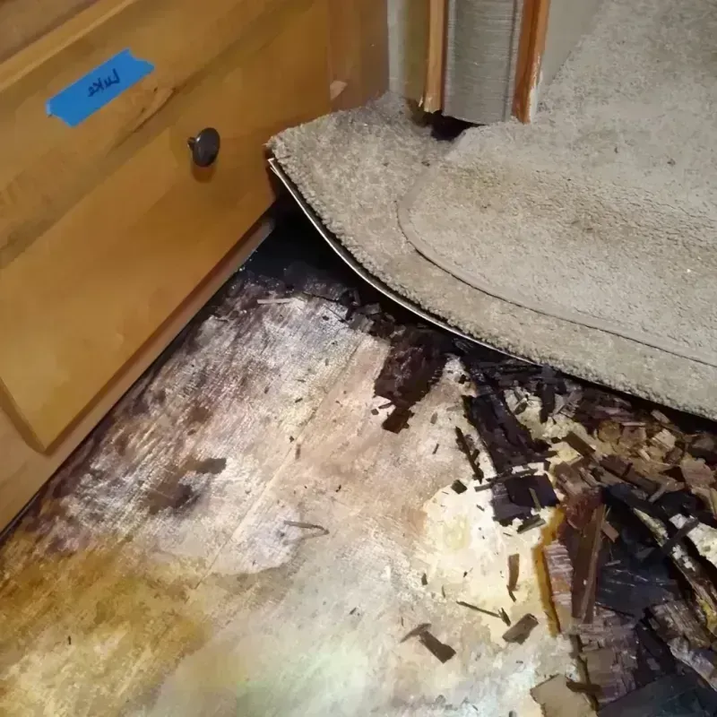 Wood Floor Water Damage in Rock Springs, WY